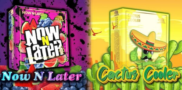 Now n Later / Cactus Cooler Summer Edition